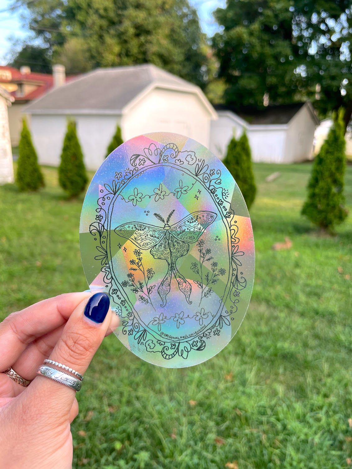 Floral Moth Suncatcher Sticker