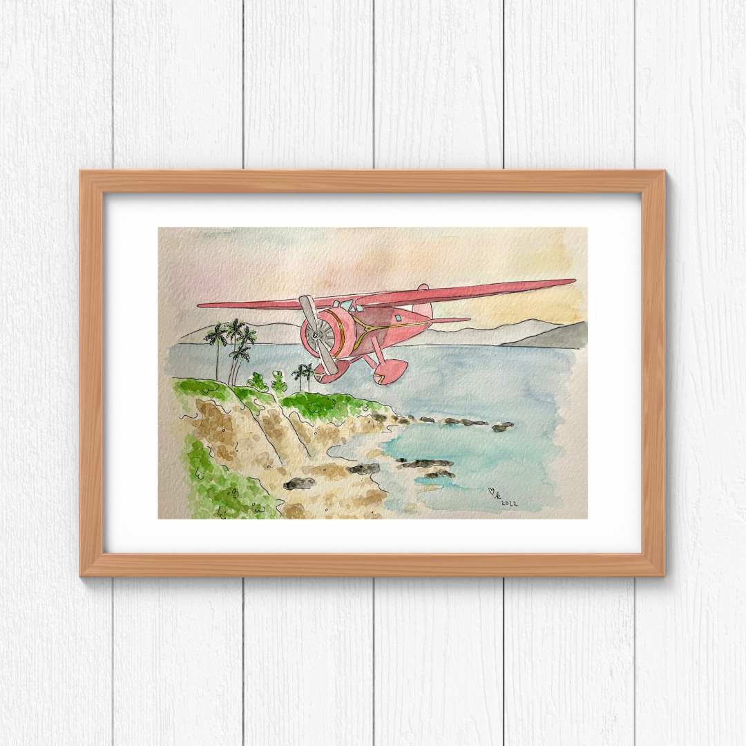 Flying Over the Islands Print